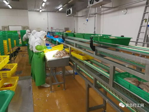 太平恩利食品加工廠 年薪上萬、食宿全包的高福利誠聘